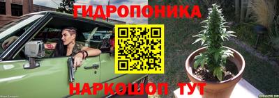 тгк Будённовск