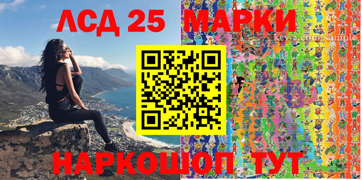 Прохладный  Наркотические марки  Вход с VPN  Наркотические марки 1500мкг  Наркотические марки 1500мкг 