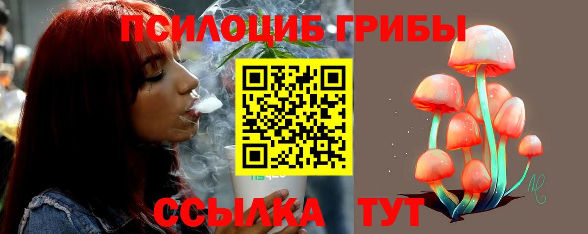 Галлюциногенные грибы MAGIC MUSHROOMS  цена   Прохладный  Вход с VPN 